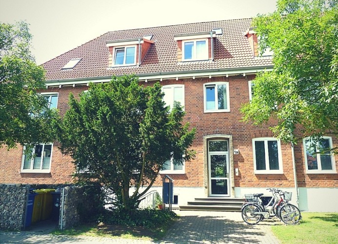 Strandläufer