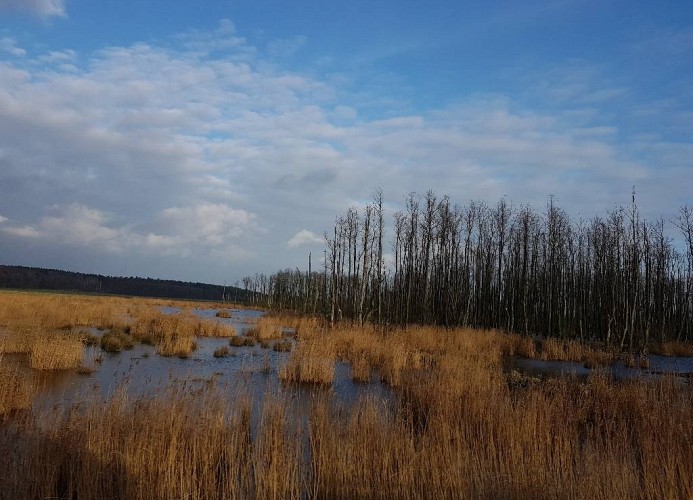 Ferienhaus Welzin